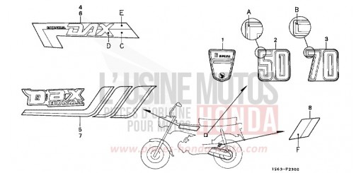 RAYURE (ST50C/J/K/ST70C/K) ST70C de 1982